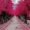 /album/fotogaleria/img-72540650187631-jpeg/